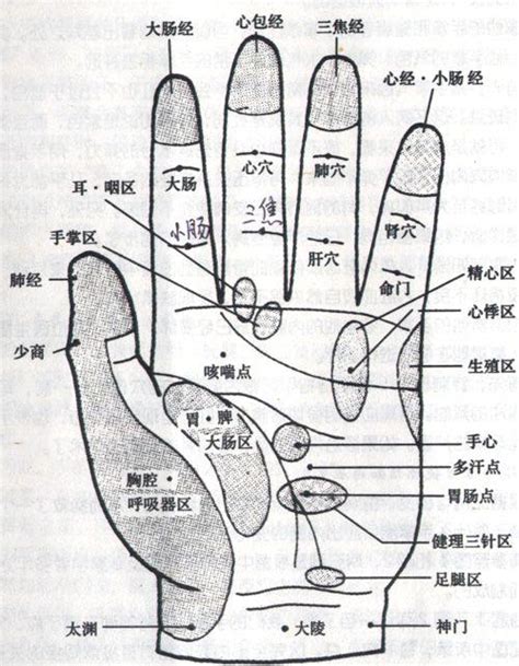 指根|症状描述:右手无名指根部疼痛，只要手指上下挥动，就能感受到。